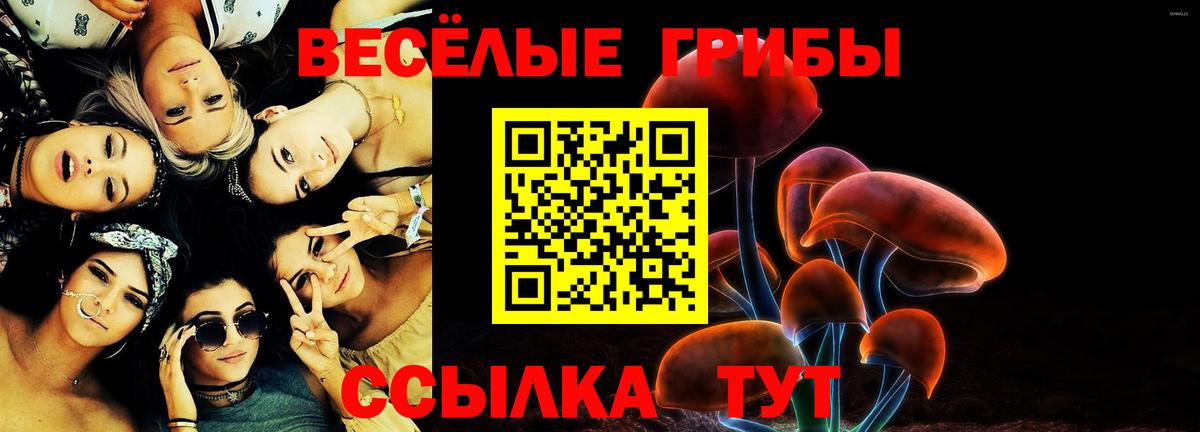 Верхняя Пышма  Псилоцибиновые грибы Psilocybe  Вход с VPN 